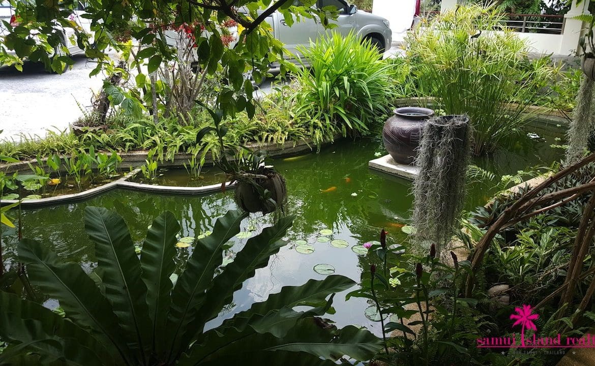 Koh Samui Sunset Villa For Sale Fish Pond
