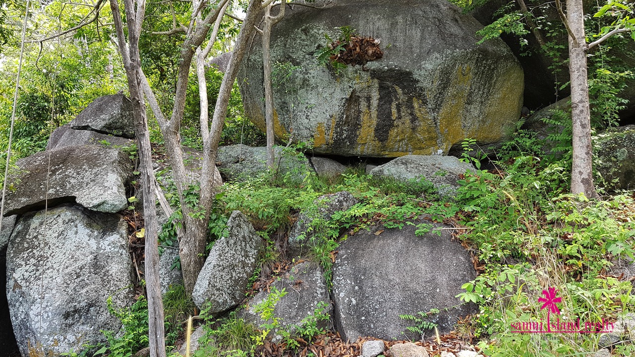 Granite Rocks On The Land