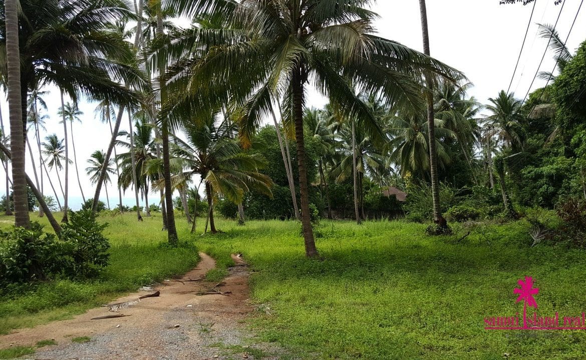 Taling Ngam Beachfront Land For Sale Koh Samui Landscape