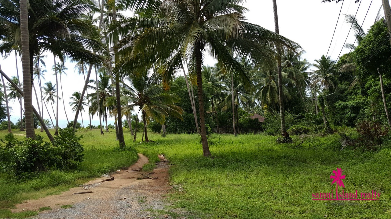 Taling Ngam Beachfront Land For Sale Koh Samui Landscape