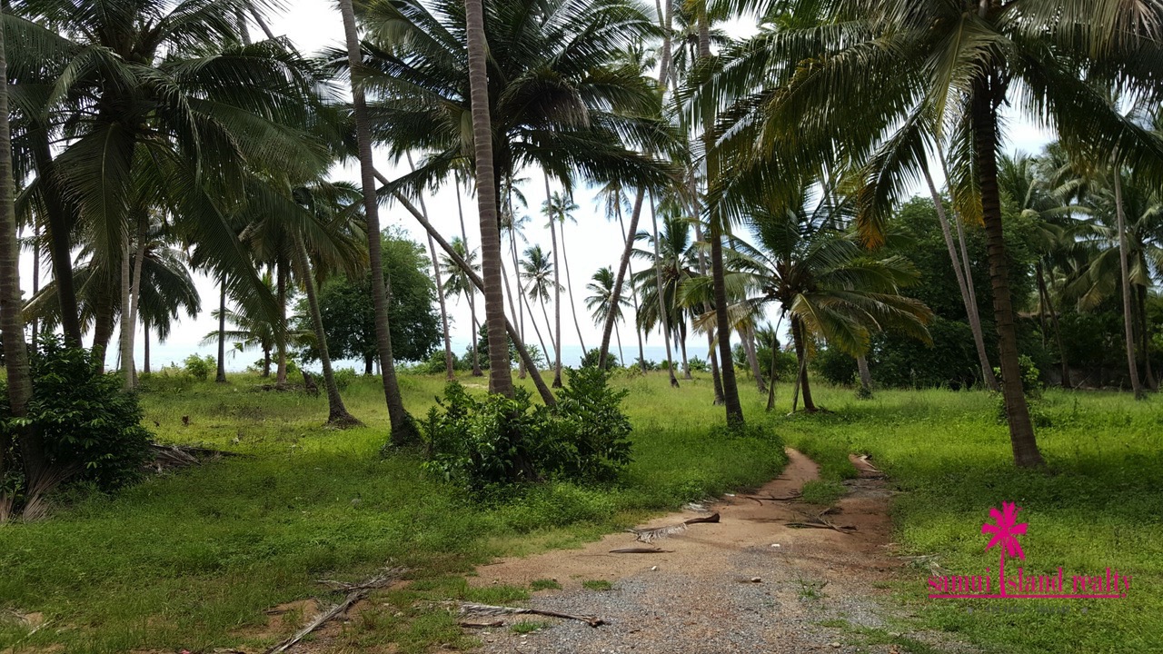Taling Ngam Beachfront Land For Sale Koh Samui Flat Land