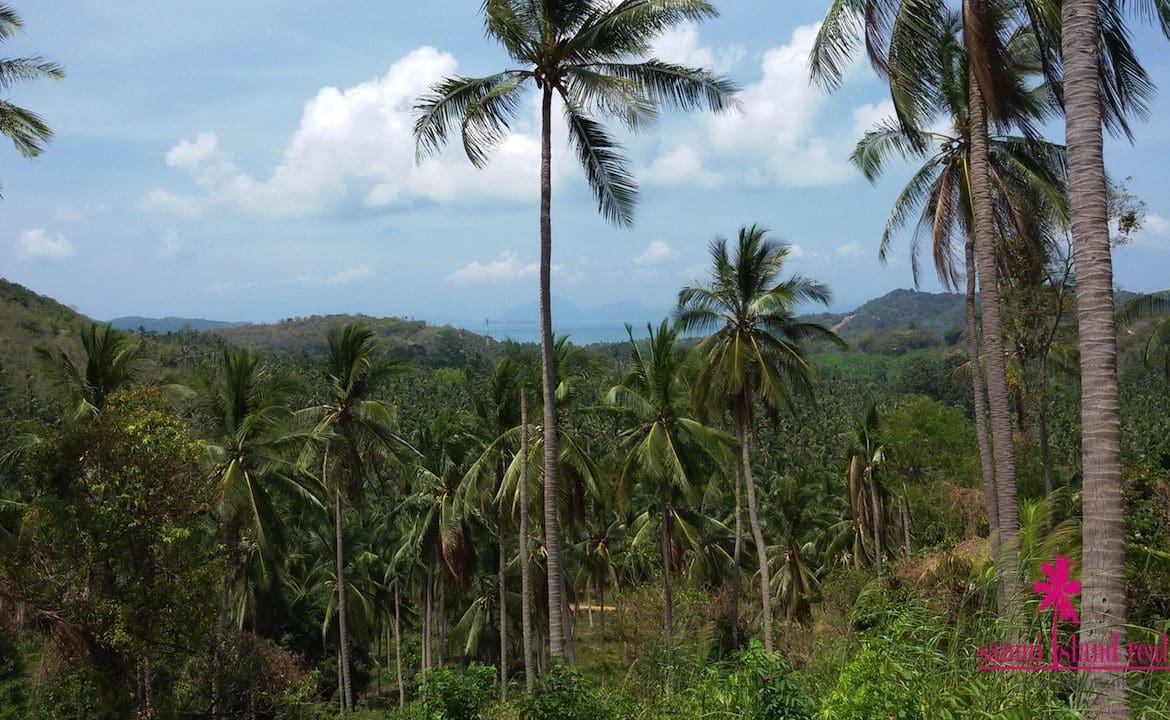 Taling Ngam Sea View Land For Sale Koh Samui