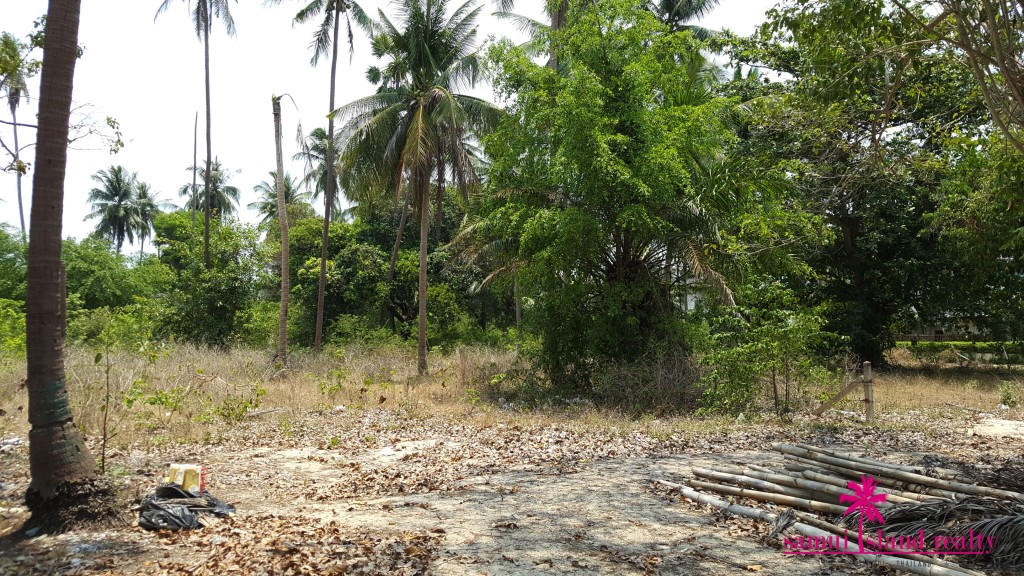Koh Samui Beachfront Land For Sale