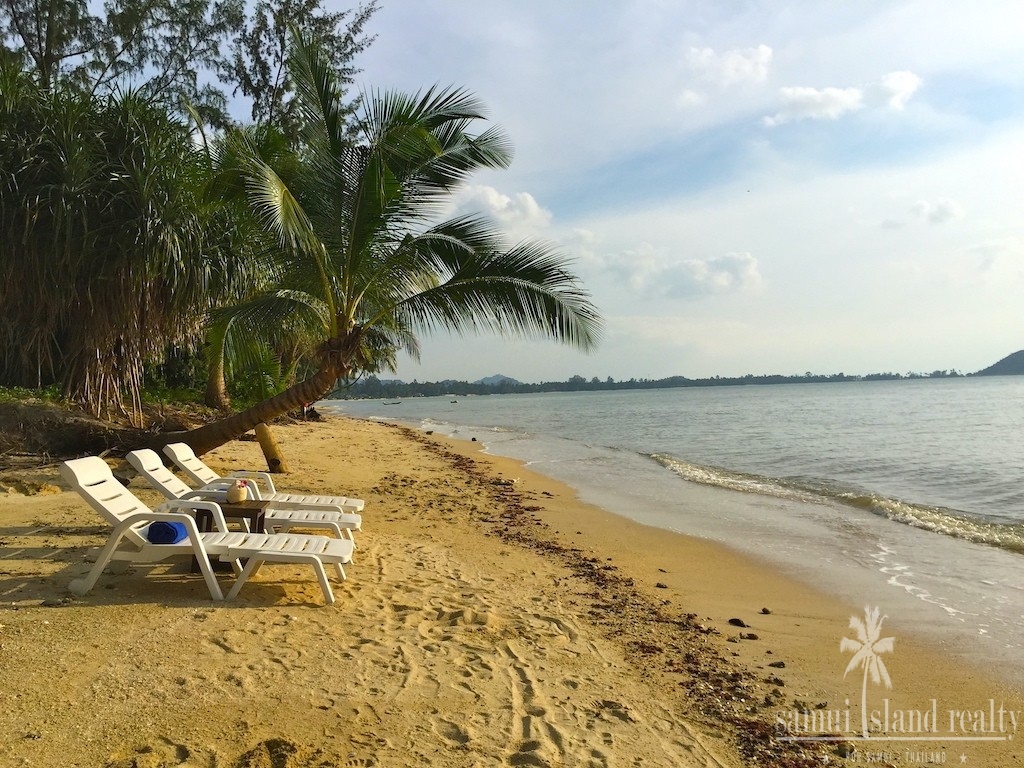 Lipa Noi Beachfront Land Samui