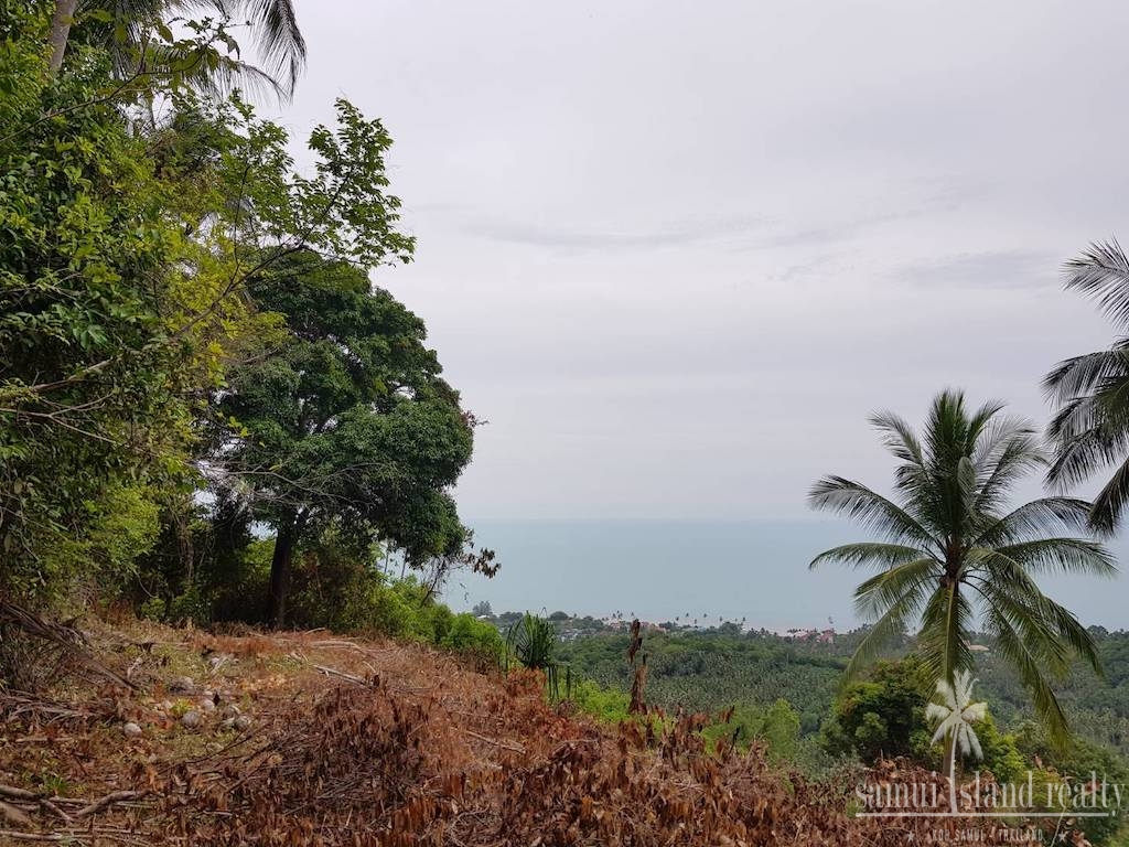 Koh Samui Land For Sale Bang Po View Left