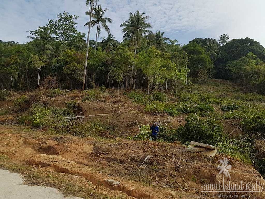 Koh Samui Land For Sale Bang Po Contour