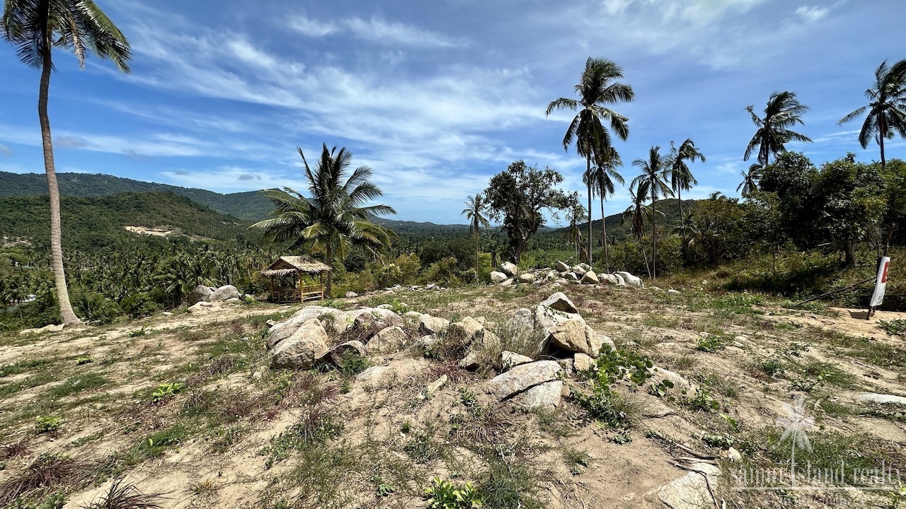 Koh Samui Maenam Land Coconut Trees