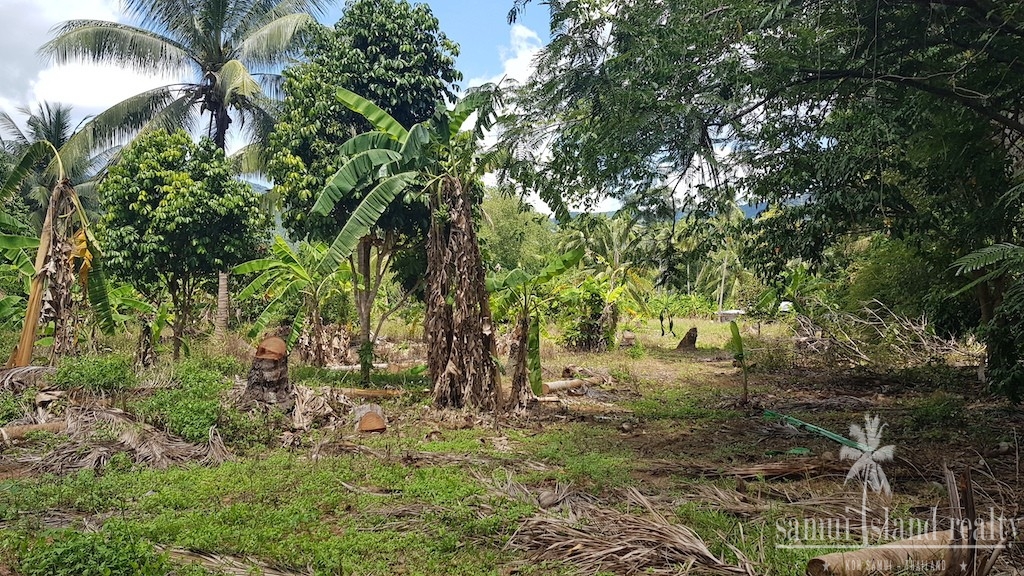 Land For Sale In Lamai Koh Samui Landscape