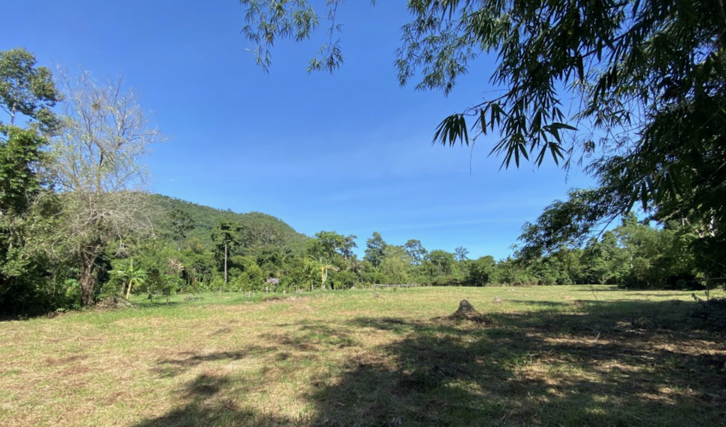 Land For Sale In Taling Ngam Koh Samui Flat