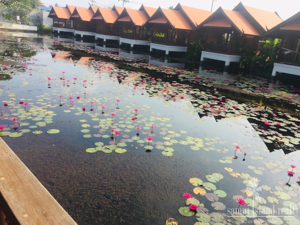 Resort For Sale In Koh Samui Lily Pond