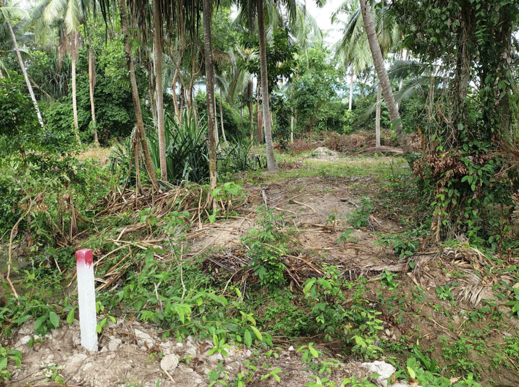 Land For Sale In Na Muang Koh Samui 1