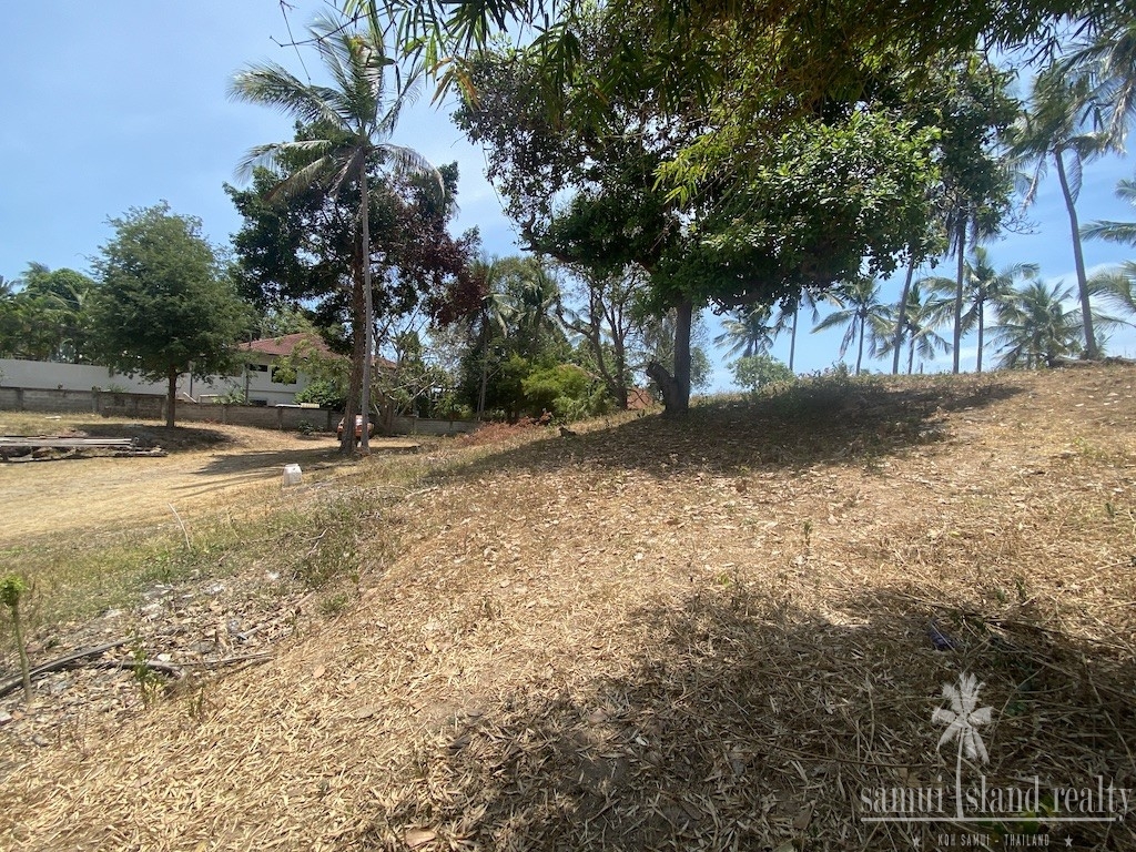 Land For Sale In Chaweng Koh Samui Trees
