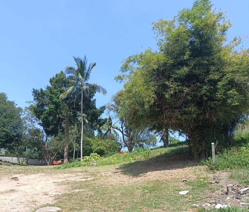 Land For Sale In Chaweng Koh Samui