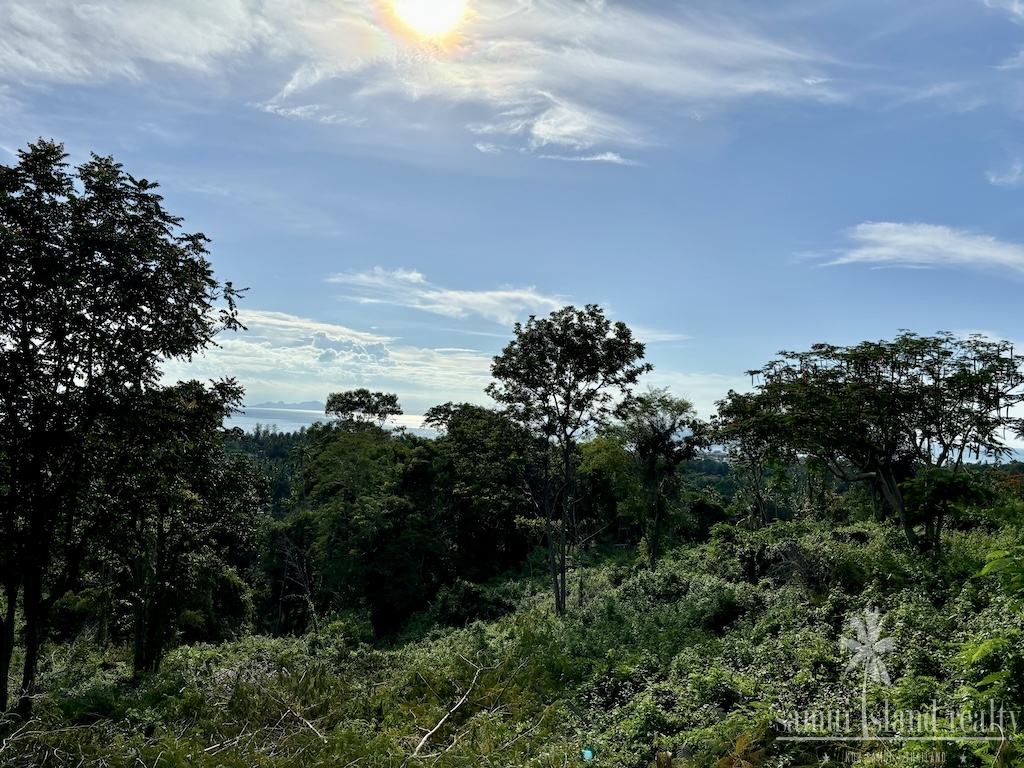 Koh Samui Angthong Land View