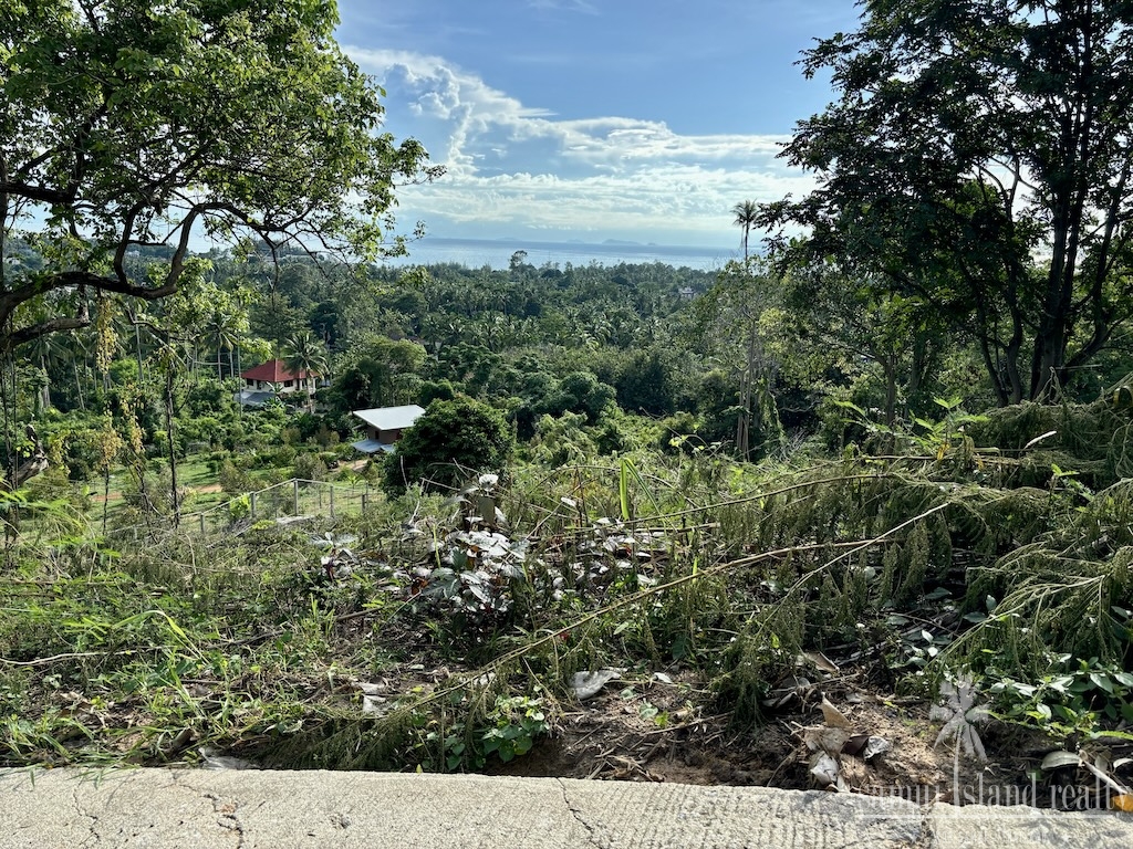 Koh Samui Angthong Land Sea View