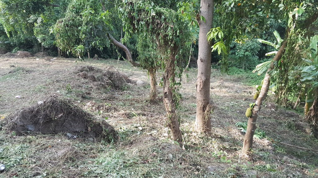 Chaweng Sea View Land Koh Samui