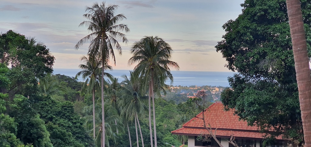 Chaweng Sea View Land Koh Samui Palms