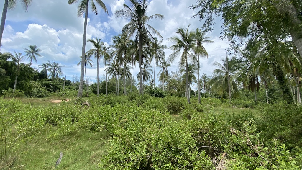 Koh Samui Lipa Noi land