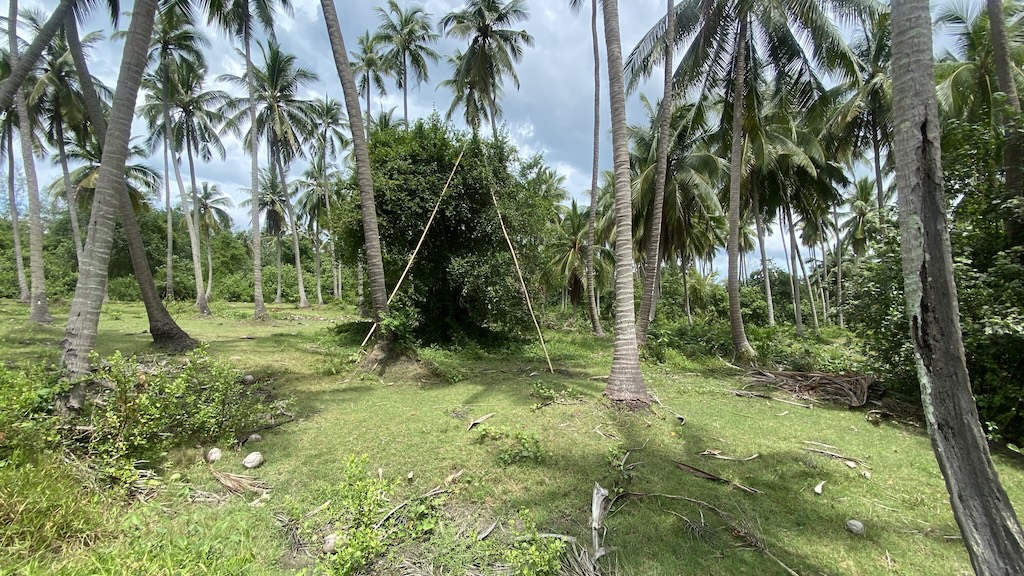 Koh Samui Lipa Noi Land