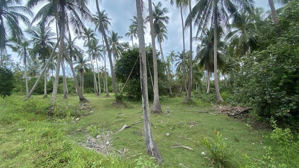 Koh Samui Lipa Noi Land