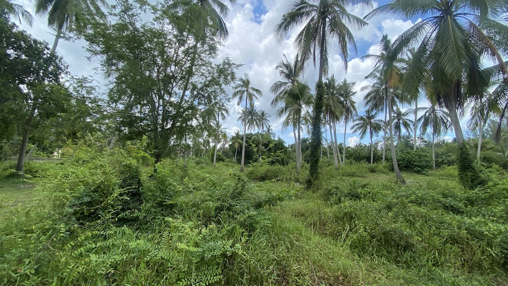Koh Samui Lipa Noi Land