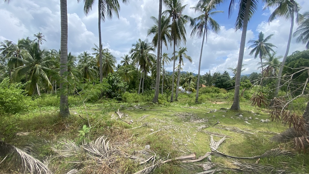 Koh Samui Lipa Noi Land