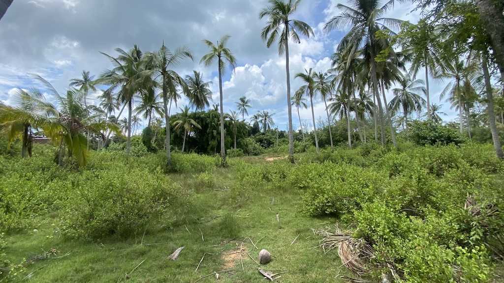 Koh Samui Lipa Noi Land