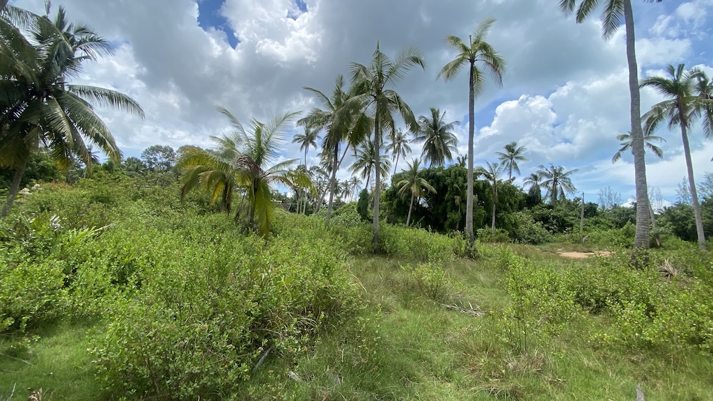 Koh Samui Lipa Noi Land