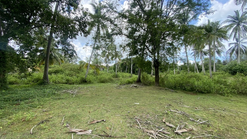 Koh Samui Lipa Noi Land