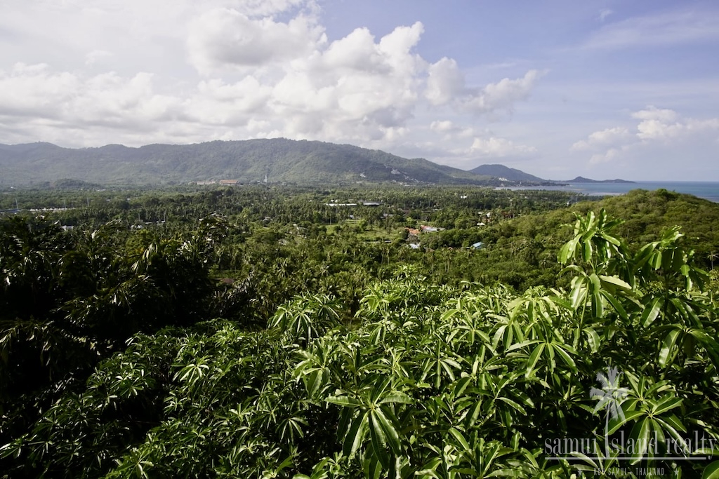 Koh Samui 4-Bedroom Sea View Villa Greenery