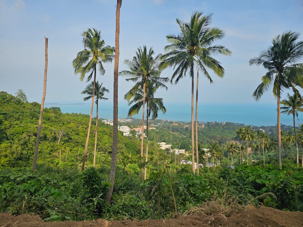 Koh Samui Chaweng Sea View Land Surroundings