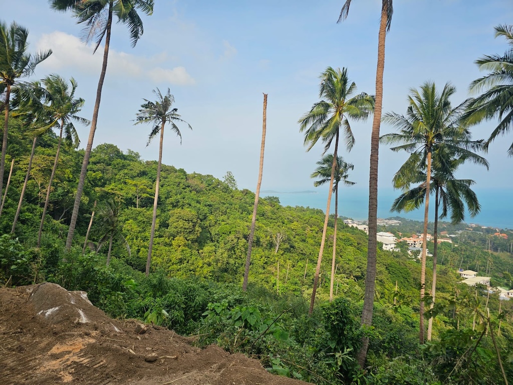 Koh Samui Chaweng Sea View Land Hillside