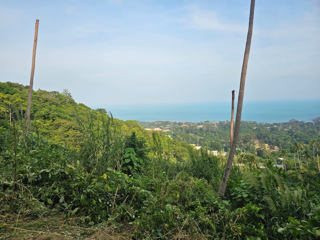 Koh Samui Chaweng Sea View Land
