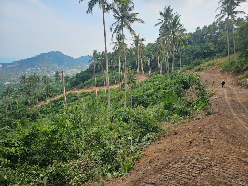 Koh Samui Sea View Land Road