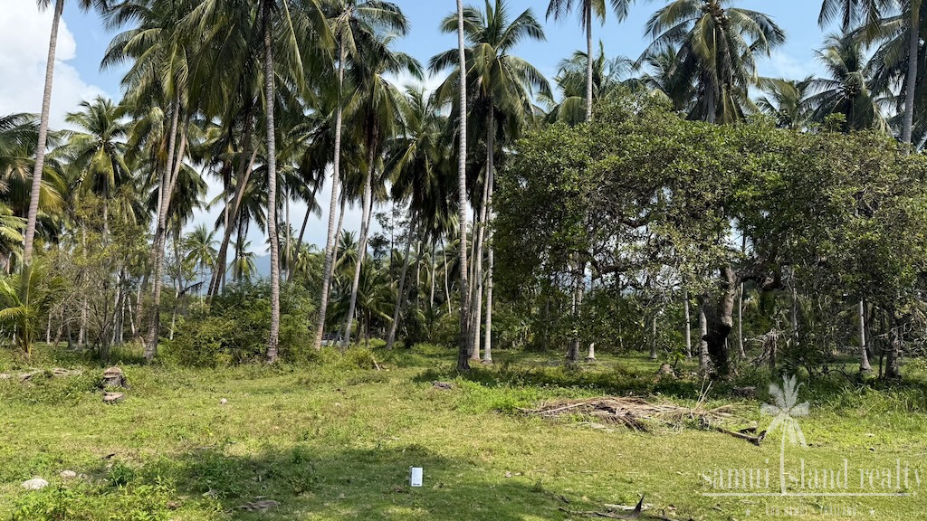 Koh Samui Laem Set Land For Sale