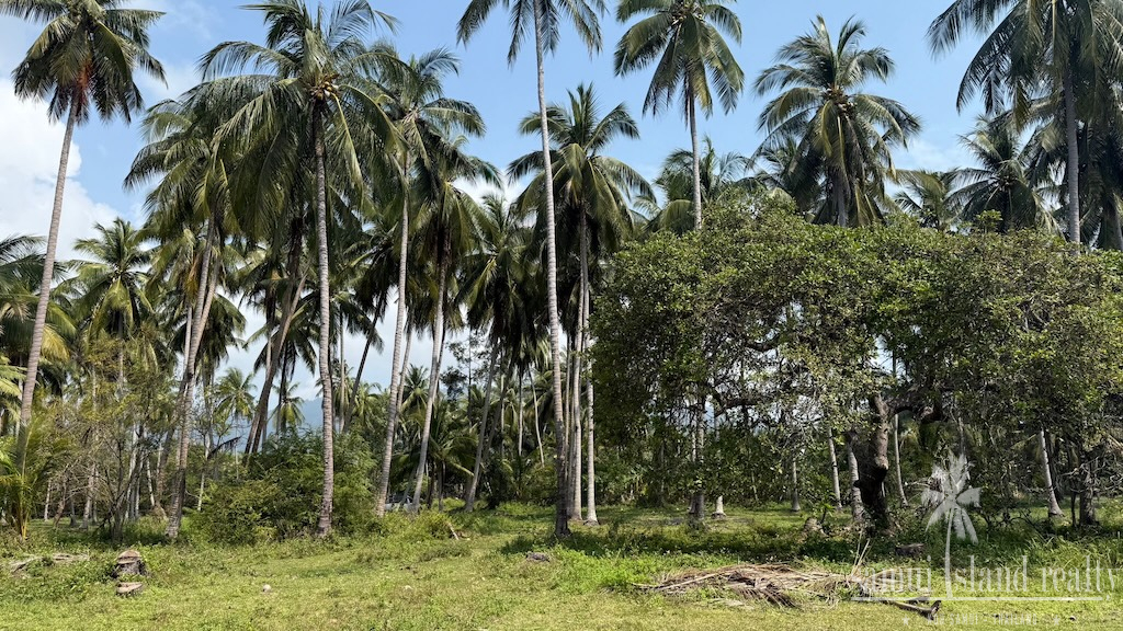 Koh Samui Laem Set Land For Sale Surroundings