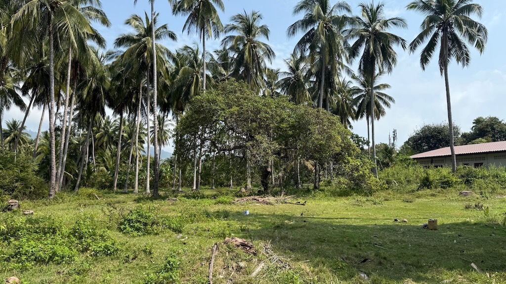 Koh Samui Laem Set Land For Sale