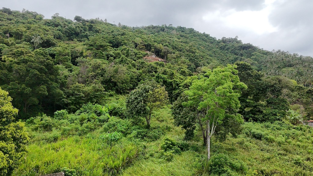 Lamai Ko Samui Land For Sale hillside