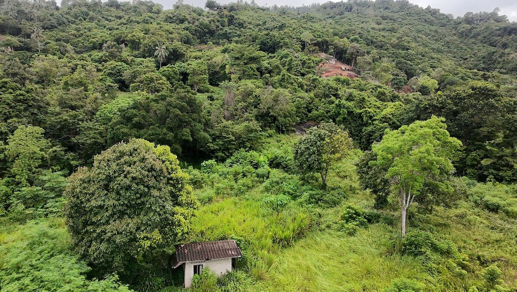 Lamai Ko Samui Land For Sale Aerial