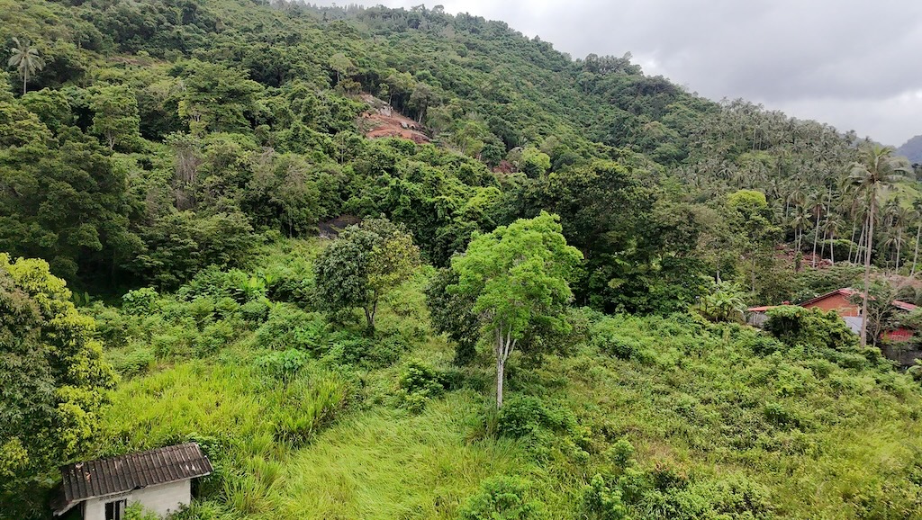 Lamai Ko Samui Land For Sale