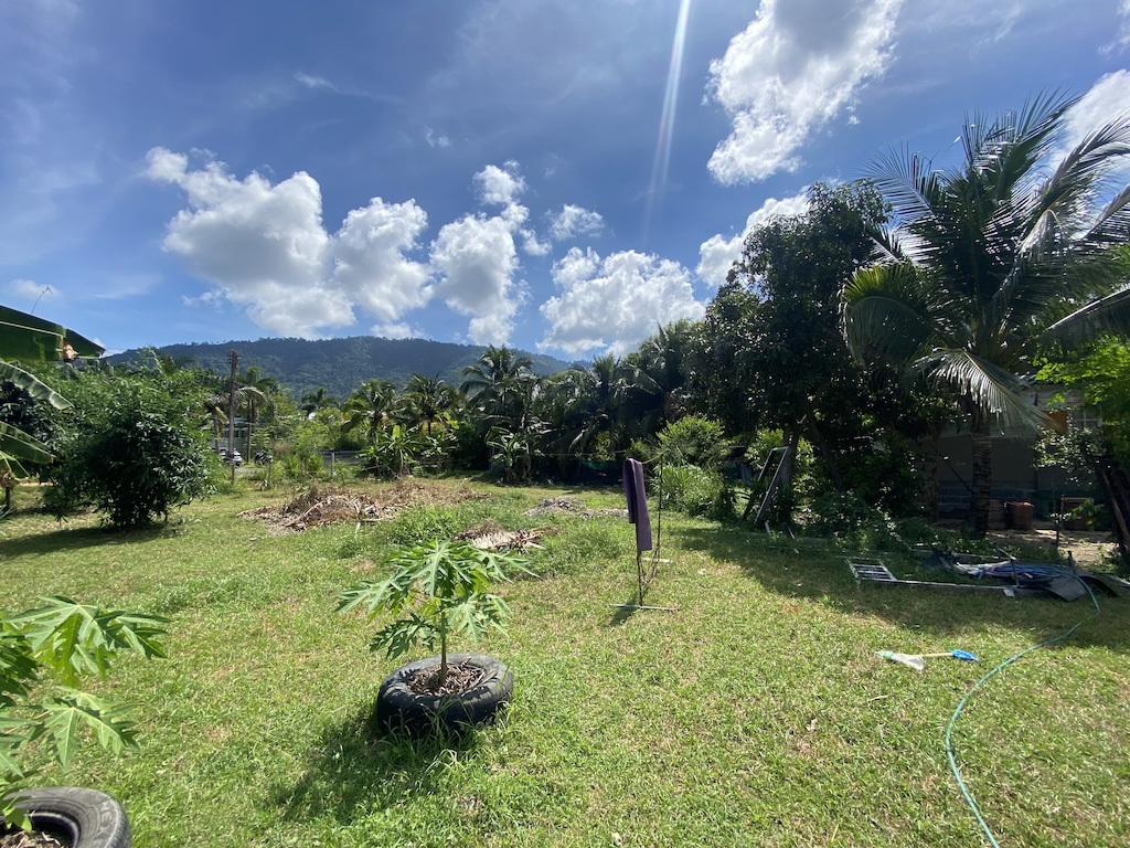 Land For Sale In Koh Samui Lamai