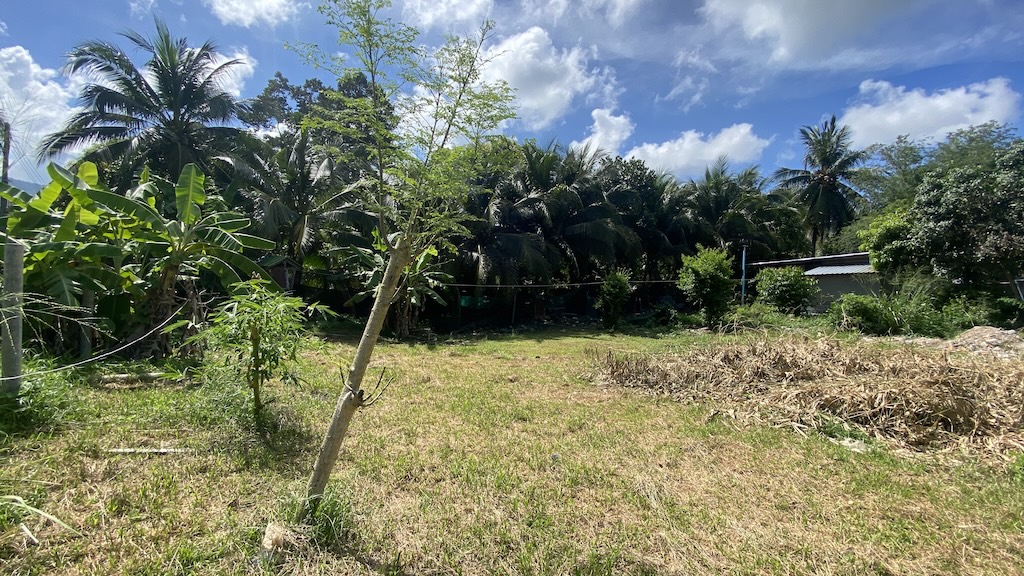 Land For Sale In Koh Samui Lamai