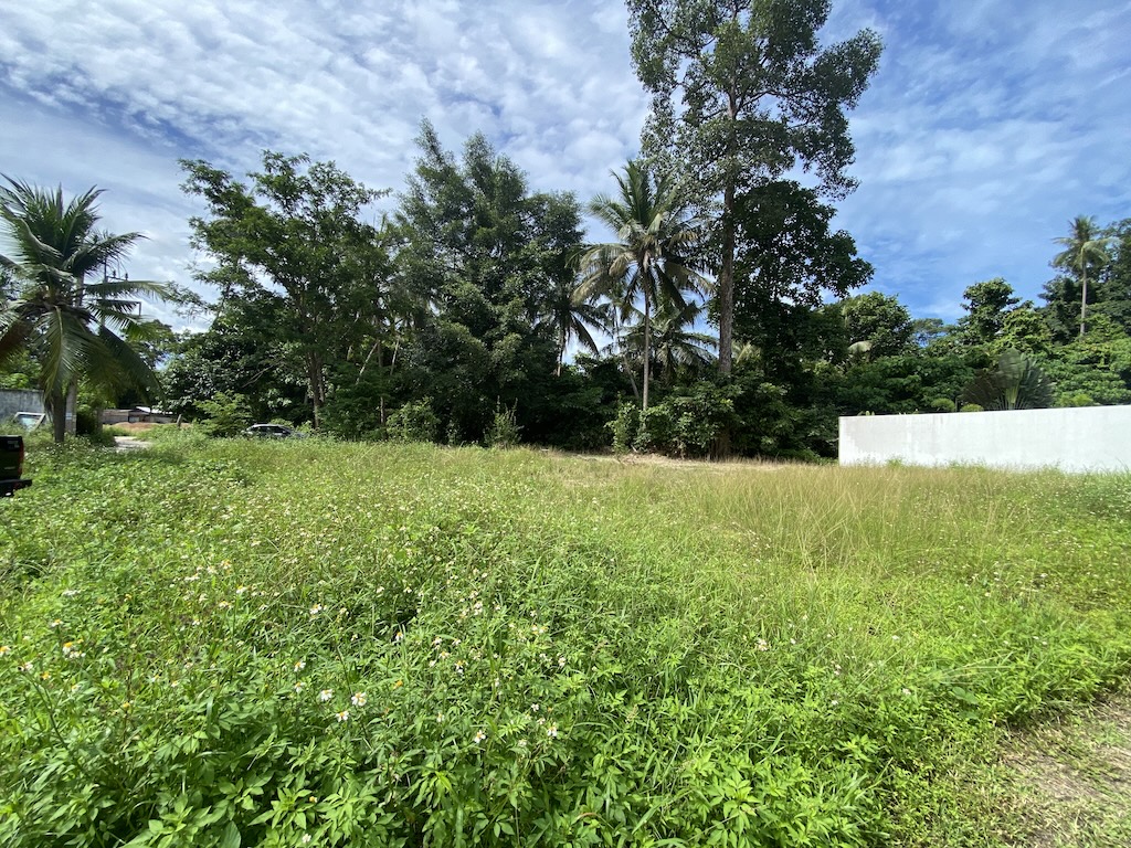 Land For Sale In Maenam Koh Samui