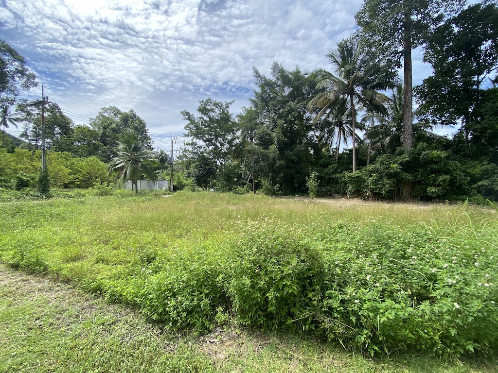 Land For Sale In Maenam Koh Samui