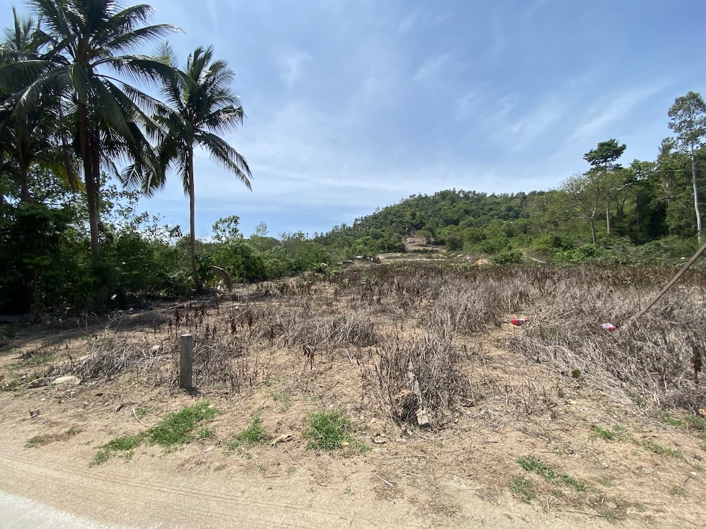 Land For Sale In Laem Set Koh Samui