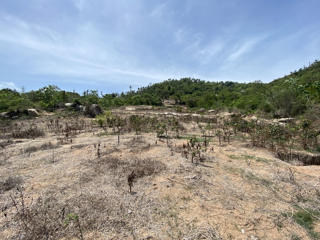 Land For Sale In Laem Set Koh Samui