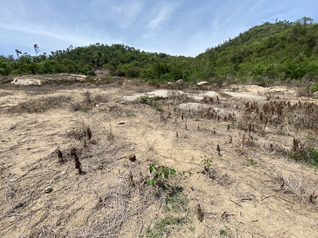 Land For Sale In Laem Set Koh Samui