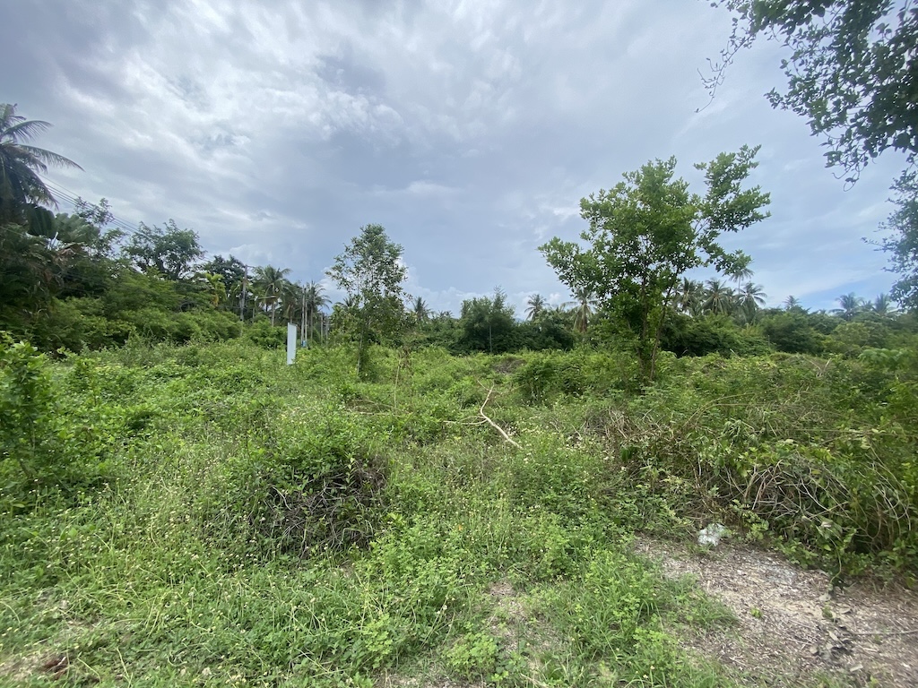 Land Plots For Sale In Ban Kao Koh Samui