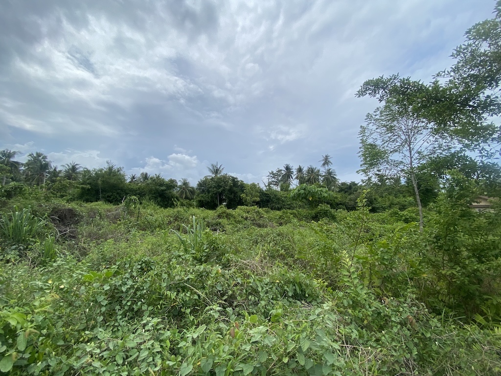 Land Plots For Sale In Ban Kao Koh Samui