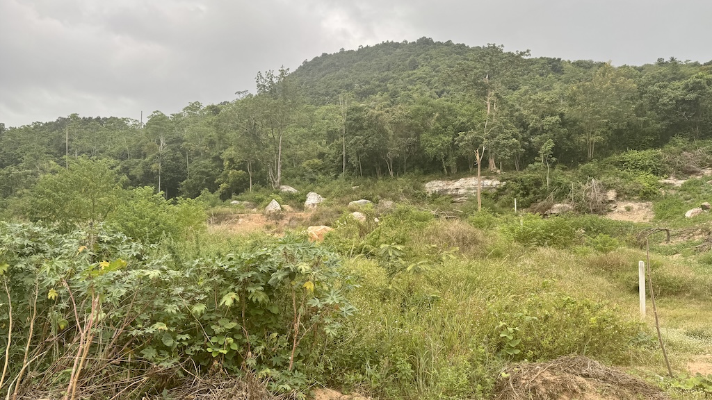 Koh Samui Ban Tai Land For Sale